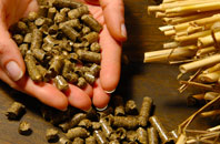 free Maney biomass boiler quotes