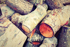 Maney wood burning boiler costs